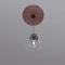 Ekena Millwork Baltimore PVC Medallion (Canopies up to 7 3/4"), 19"OD x 3 1/2"ID x 1"P, Metallic Champagne Pink CMP19BAFCP - alternate 6